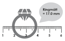 mäta ringstorlek
